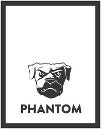 Phantom Billstickers logo